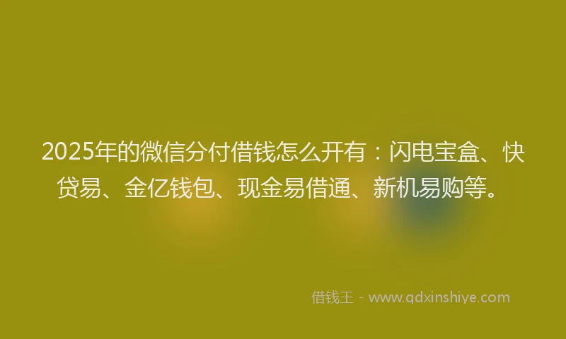 2025年的微信分付借钱怎么开有：闪电宝盒、快贷易、金亿钱包、现金易借通、新机易购等。