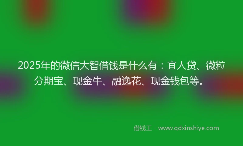 2025年的微信大智借钱是什么有：宜人贷、微粒分期宝、现金牛、融逸花、现金钱包等。