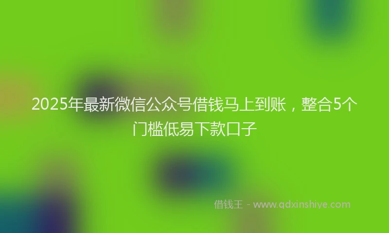 2025年最新微信公众号借钱马上到账，整合5个门槛低易下款口子