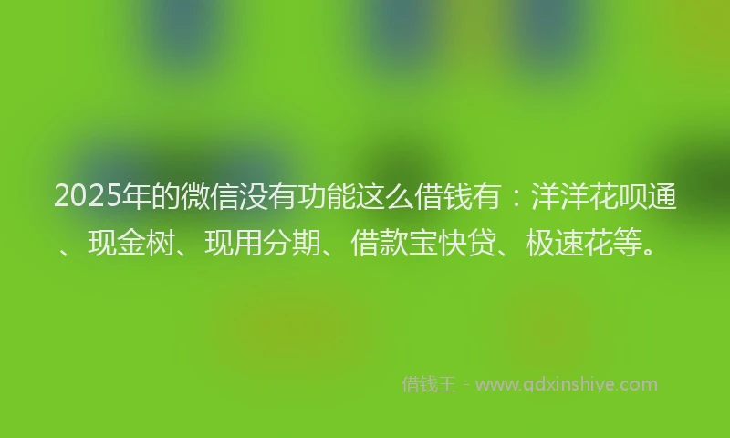 2025年的微信没有功能这么借钱有：洋洋花呗通、现金树、现用分期、借款宝快贷、极速花等。
