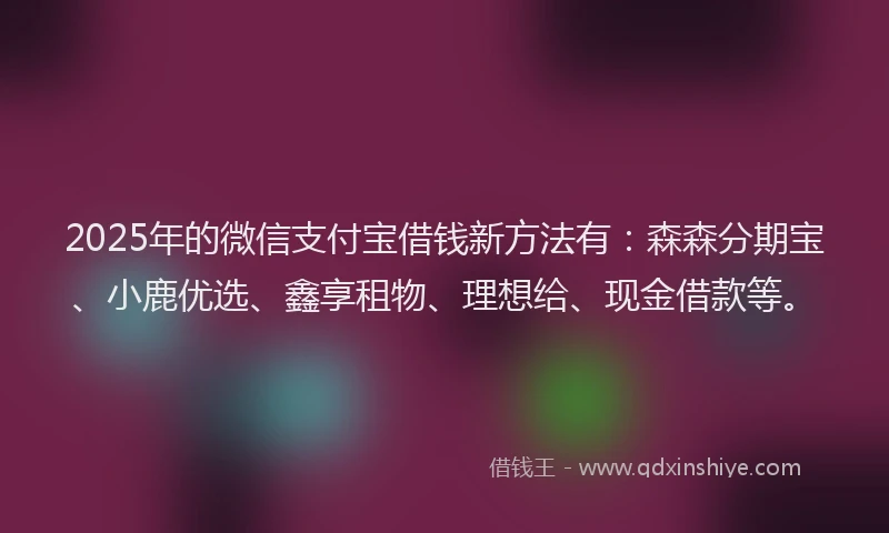 2025年的微信支付宝借钱新方法有：森森分期宝、小鹿优选、鑫享租物、理想给、现金借款等。