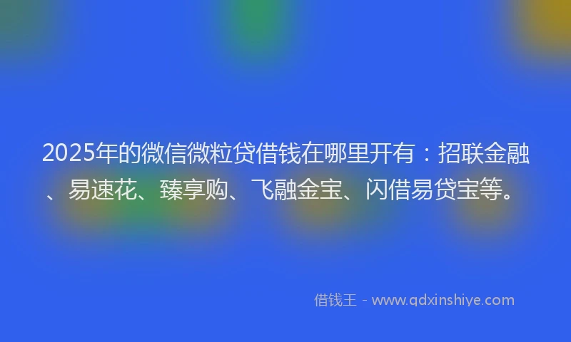 2025年的微信微粒贷借钱在哪里开有：招联金融、易速花、臻享购、飞融金宝、闪借易贷宝等。