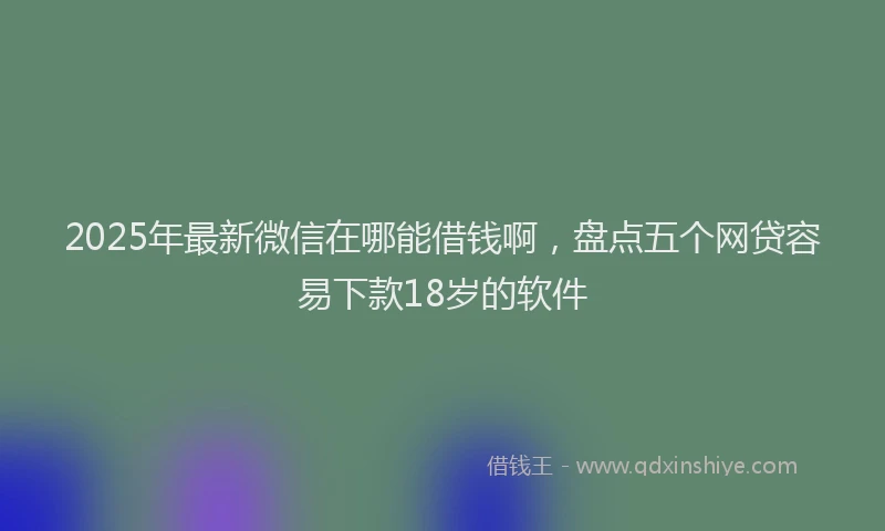 2025年最新微信在哪能借钱啊，盘点五个网贷容易下款18岁的软件