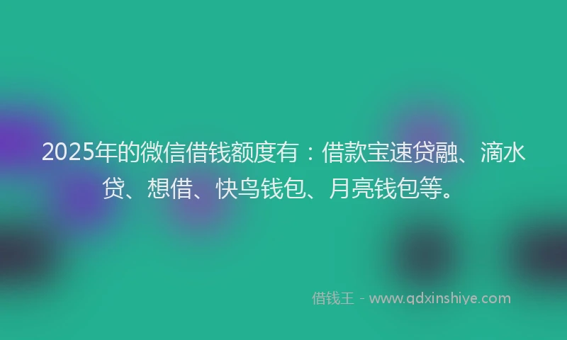 2025年的微信借钱额度有：借款宝速贷融、滴水贷、想借、快鸟钱包、月亮钱包等。