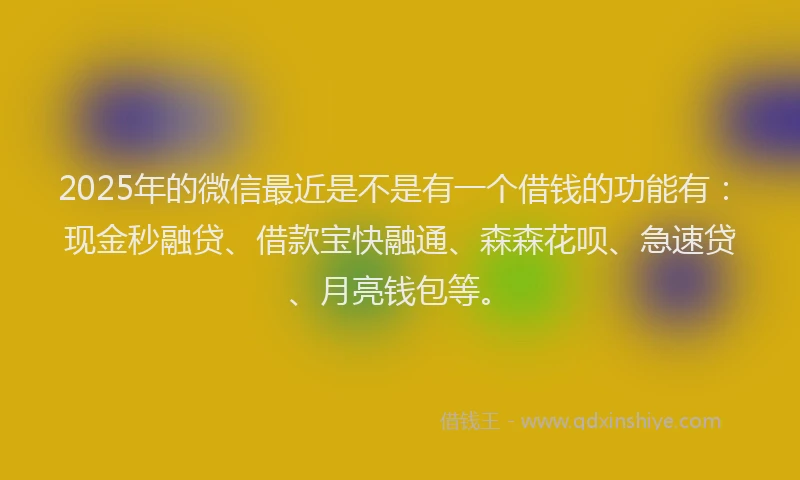 2025年的微信最近是不是有一个借钱的功能有：现金秒融贷、借款宝快融通、森森花呗、急速贷、月亮钱包等。