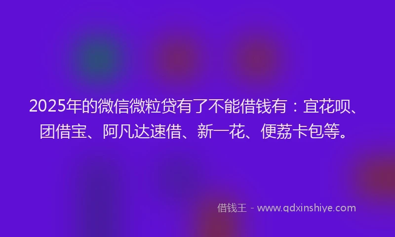 2025年的微信微粒贷有了不能借钱有：宜花呗、团借宝、阿凡达速借、新一花、便荔卡包等。