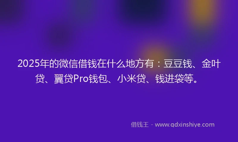 2025年的微信借钱在什么地方有：豆豆钱、金叶贷、翼贷Pro钱包、小米贷、钱进袋等。