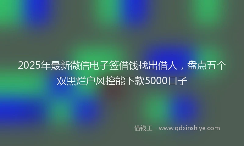 2025年最新微信电子签借钱找出借人，盘点五个双黑烂户风控能下款5000口子