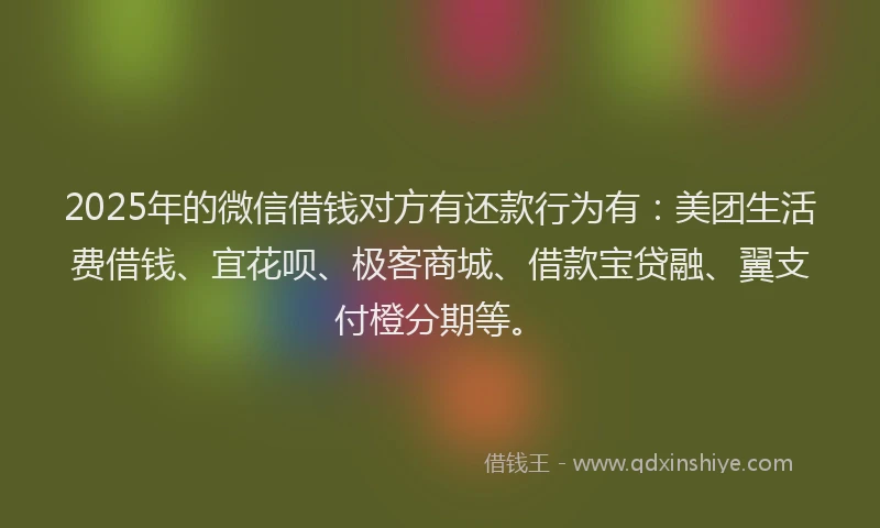 2025年的微信借钱对方有还款行为有：美团生活费借钱、宜花呗、极客商城、借款宝贷融、翼支付橙分期等。