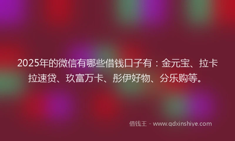 2025年的微信有哪些借钱口子有：金元宝、拉卡拉速贷、玖富万卡、彤伊好物、分乐购等。