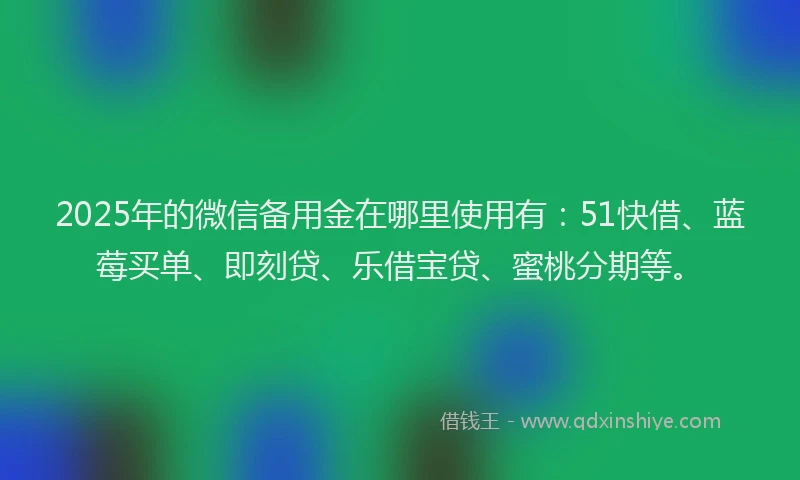 2025年的微信备用金在哪里使用有：51快借、蓝莓买单、即刻贷、乐借宝贷、蜜桃分期等。