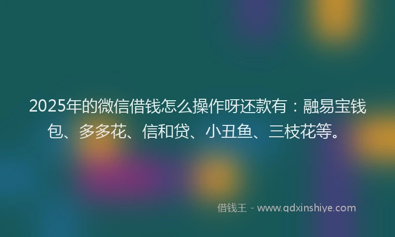 2025年的微信借钱怎么操作呀还款有：融易宝钱包、多多花、信和贷、小丑鱼、三枝花等。