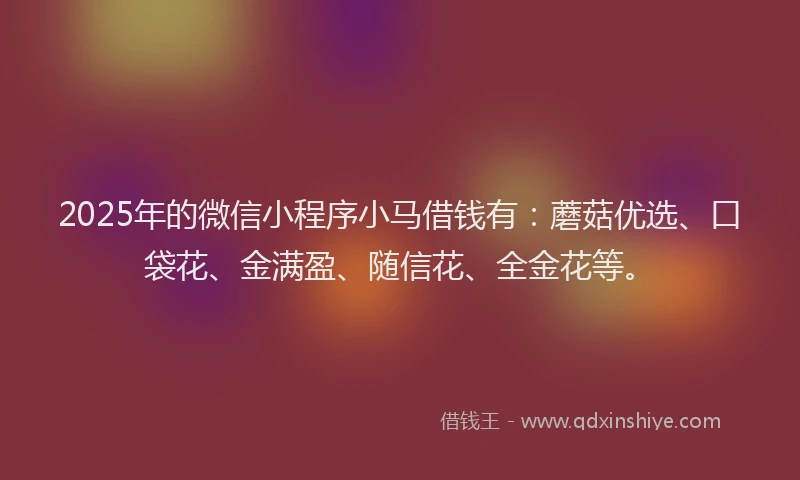 2025年的微信小程序小马借钱有：蘑菇优选、口袋花、金满盈、随信花、全金花等。