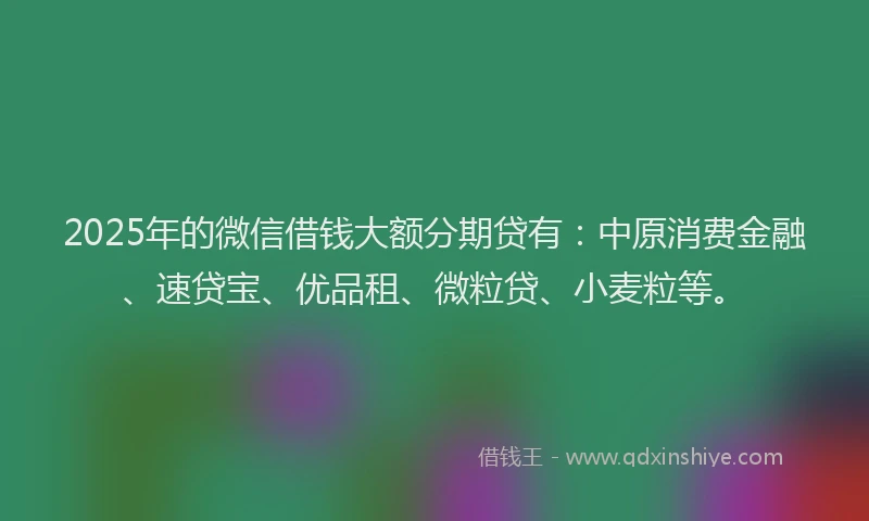 2025年的微信借钱大额分期贷有：中原消费金融、速贷宝、优品租、微粒贷、小麦粒等。