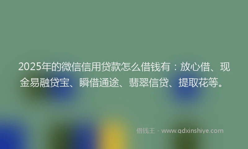 2025年的微信信用贷款怎么借钱有：放心借、现金易融贷宝、瞬借通途、翡翠信贷、提取花等。