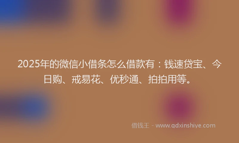 2025年的微信小借条怎么借款有：钱速贷宝、今日购、戒易花、优秒通、拍拍用等。