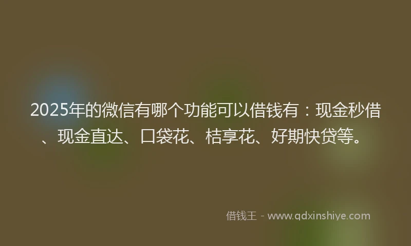 2025年的微信有哪个功能可以借钱有：现金秒借、现金直达、口袋花、桔享花、好期快贷等。