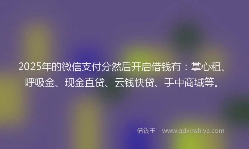 2025年的微信支付分然后开启借钱有：掌心租、呼吸金、现金直贷、云钱快贷、手中商城等。