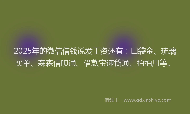 2025年的微信借钱说发工资还有：口袋金、琉璃买单、森森借呗通、借款宝速贷通、拍拍用等。