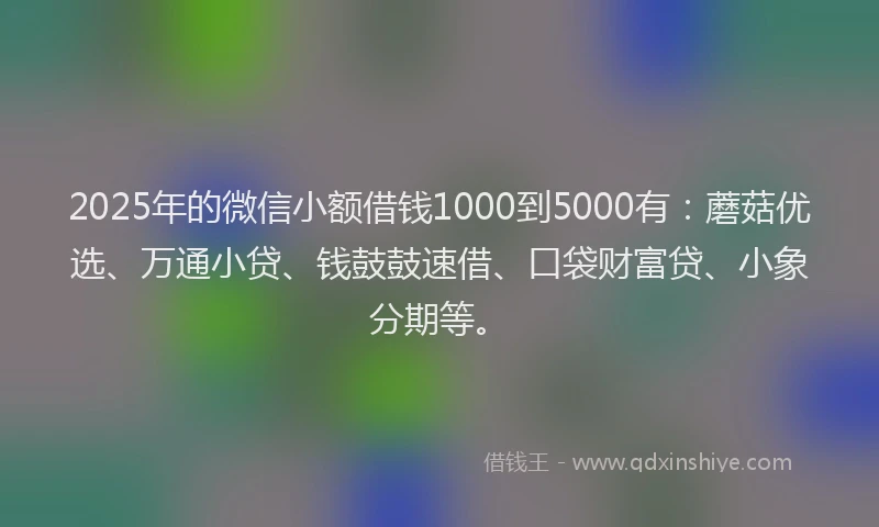 2025年的微信小额借钱1000到5000有：蘑菇优选、万通小贷、钱鼓鼓速借、口袋财富贷、小象分期等。