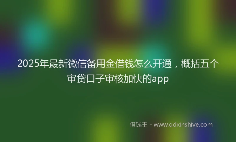 2025年最新微信备用金借钱怎么开通，概括五个审贷口子审核加快的app