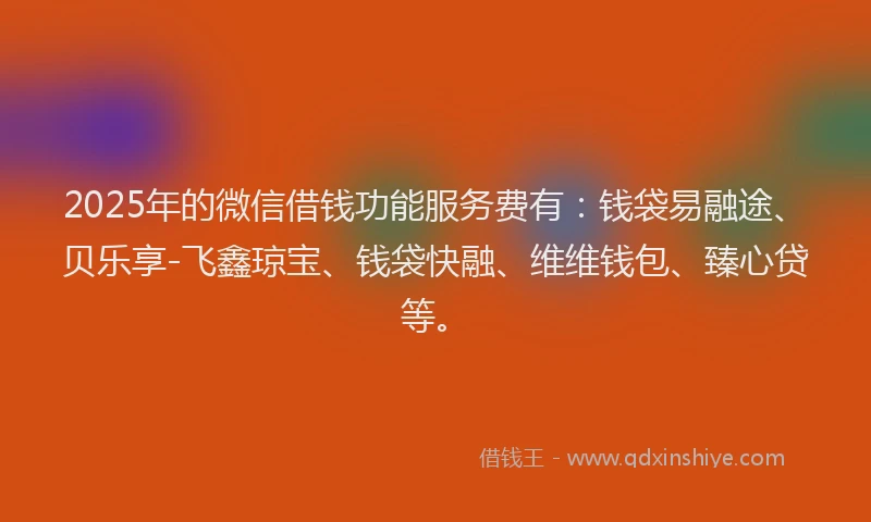 2025年的微信借钱功能服务费有：钱袋易融途、贝乐享-飞鑫琼宝、钱袋快融、维维钱包、臻心贷等。