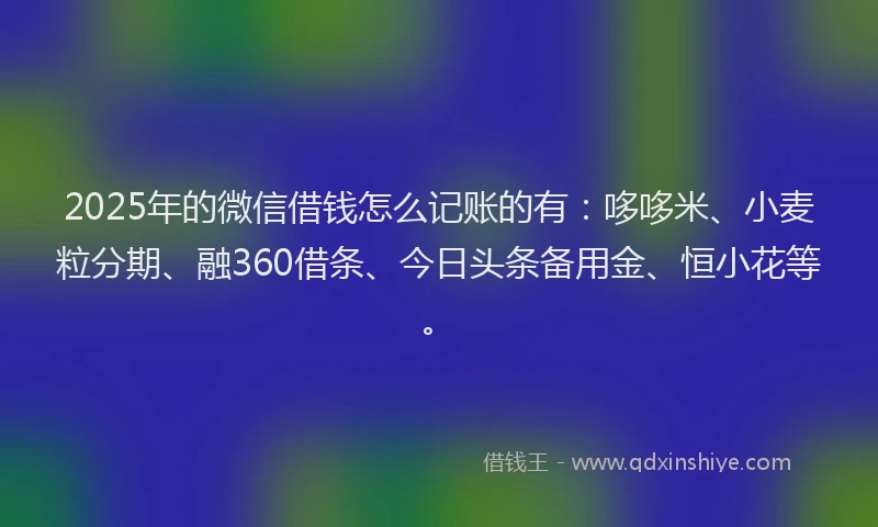 2025年的微信借钱怎么记账的有：哆哆米、小麦粒分期、融360借条、今日头条备用金、恒小花等。