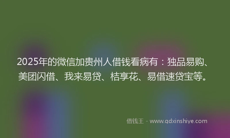 2025年的微信加贵州人借钱看病有：独品易购、美团闪借、我来易贷、桔享花、易借速贷宝等。