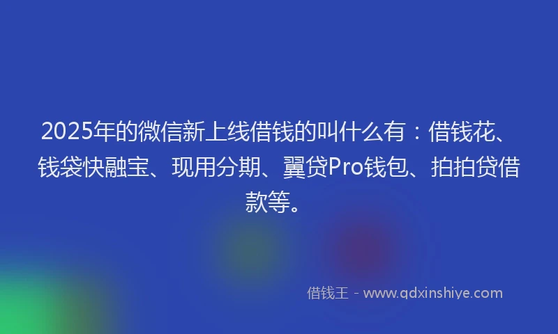2025年的微信新上线借钱的叫什么有：借钱花、钱袋快融宝、现用分期、翼贷Pro钱包、拍拍贷借款等。