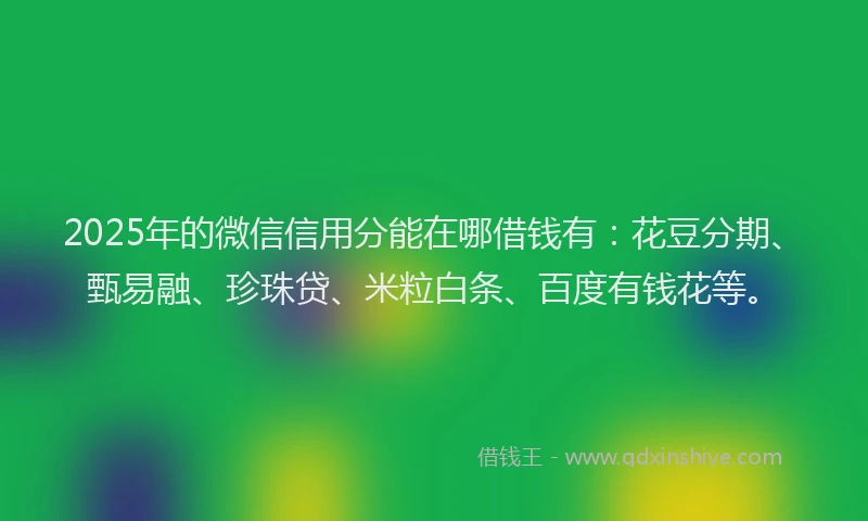 2025年的微信信用分能在哪借钱有：花豆分期、甄易融、珍珠贷、米粒白条、百度有钱花等。