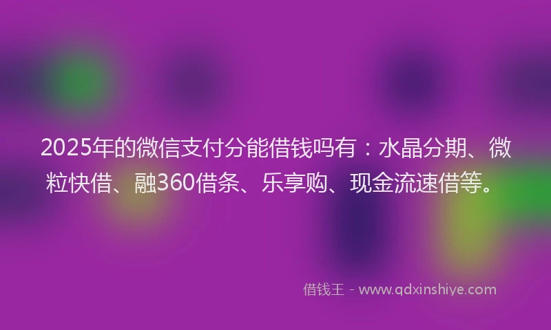 2025年的微信支付分能借钱吗有：水晶分期、微粒快借、融360借条、乐享购、现金流速借等。