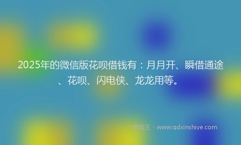 2025年的微信版花呗借钱有：月月开、瞬借通途、花呗、闪电侠、龙龙用等。