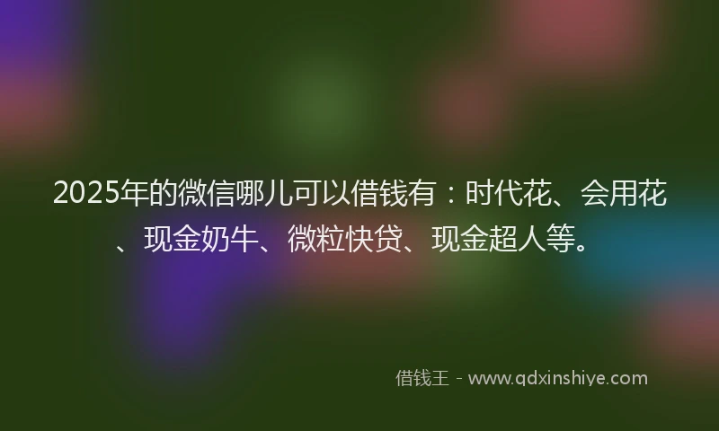 2025年的微信哪儿可以借钱有：时代花、会用花、现金奶牛、微粒快贷、现金超人等。