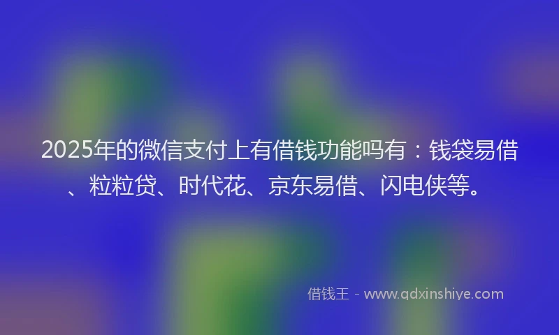 2025年的微信支付上有借钱功能吗有：钱袋易借、粒粒贷、时代花、京东易借、闪电侠等。