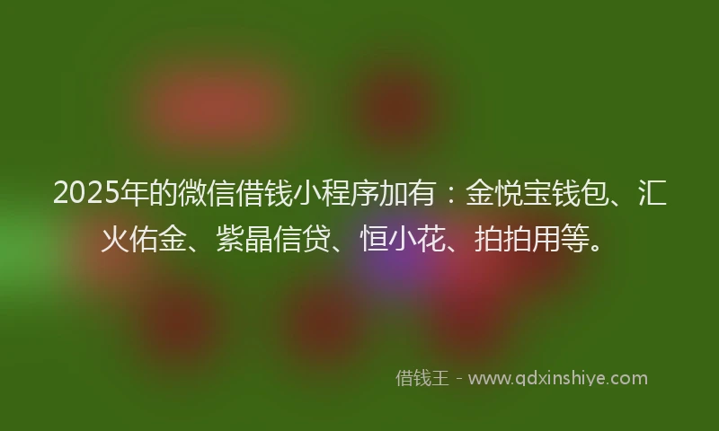 2025年的微信借钱小程序加有：金悦宝钱包、汇火佑金、紫晶信贷、恒小花、拍拍用等。