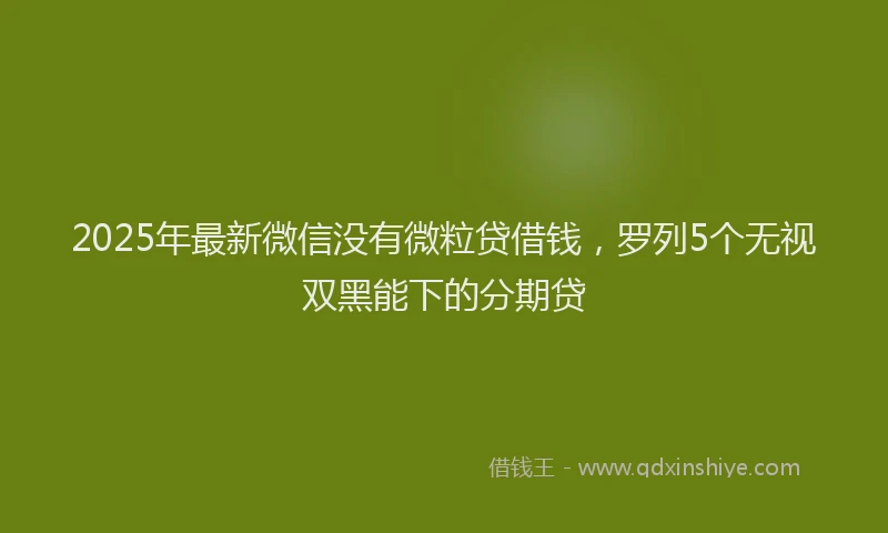 2025年最新微信没有微粒贷借钱，罗列5个无视双黑能下的分期贷