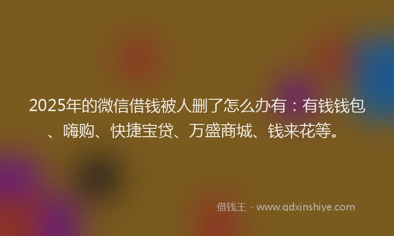 2025年的微信借钱被人删了怎么办有：有钱钱包、嗨购、快捷宝贷、万盛商城、钱来花等。