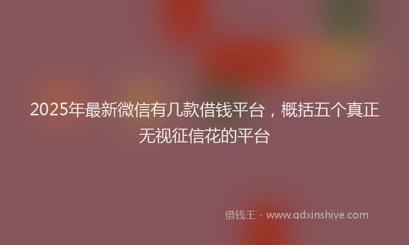 2025年最新微信有几款借钱平台，概括五个真正无视征信花的平台