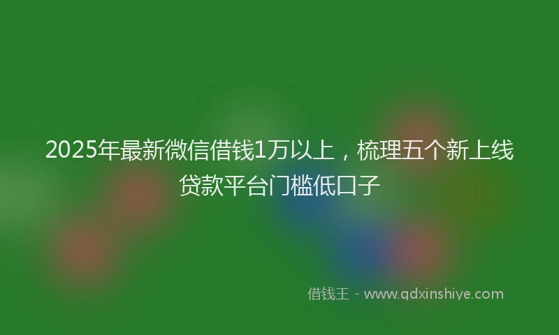 2025年最新微信借钱1万以上，梳理五个新上线贷款平台门槛低口子