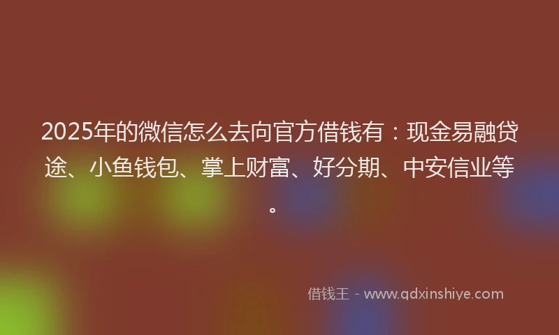2025年的微信怎么去向官方借钱有：现金易融贷途、小鱼钱包、掌上财富、好分期、中安信业等。