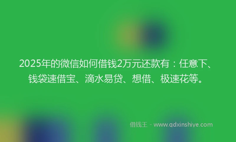 2025年的微信如何借钱2万元还款有：任意下、钱袋速借宝、滴水易贷、想借、极速花等。