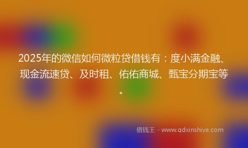 2025年的微信如何微粒贷借钱有：度小满金融、现金流速贷、及时租、佑佑商城、甄宝分期宝等。