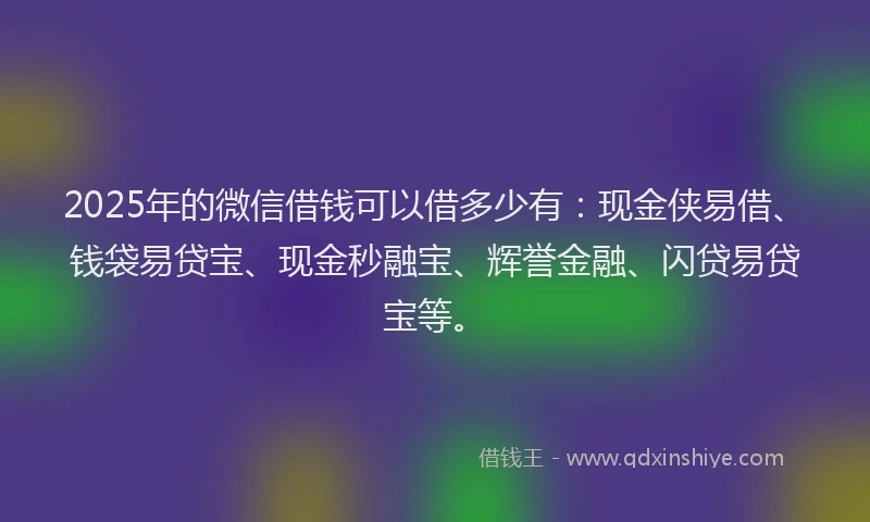 2025年的微信借钱可以借多少有：现金侠易借、钱袋易贷宝、现金秒融宝、辉誉金融、闪贷易贷宝等。