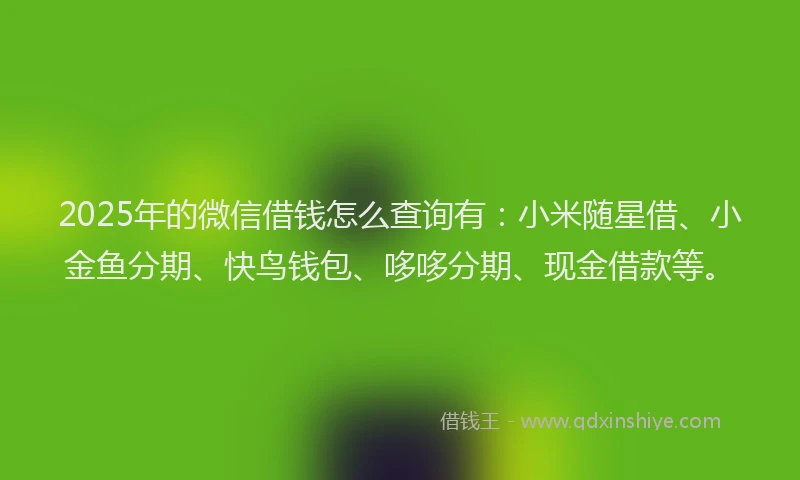 2025年的微信借钱怎么查询有：小米随星借、小金鱼分期、快鸟钱包、哆哆分期、现金借款等。