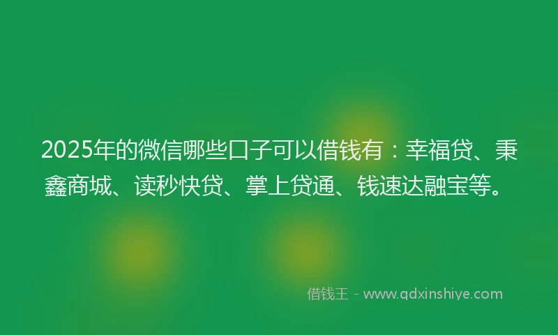 2025年的微信哪些口子可以借钱有：幸福贷、秉鑫商城、读秒快贷、掌上贷通、钱速达融宝等。