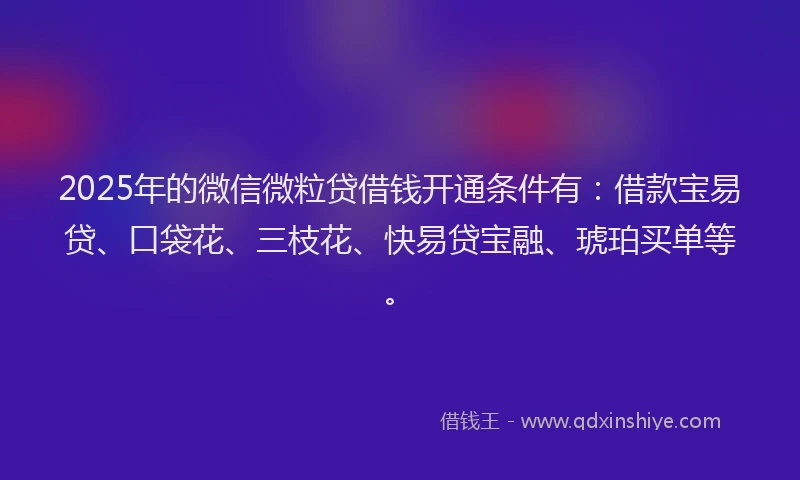 2025年的微信微粒贷借钱开通条件有：借款宝易贷、口袋花、三枝花、快易贷宝融、琥珀买单等。