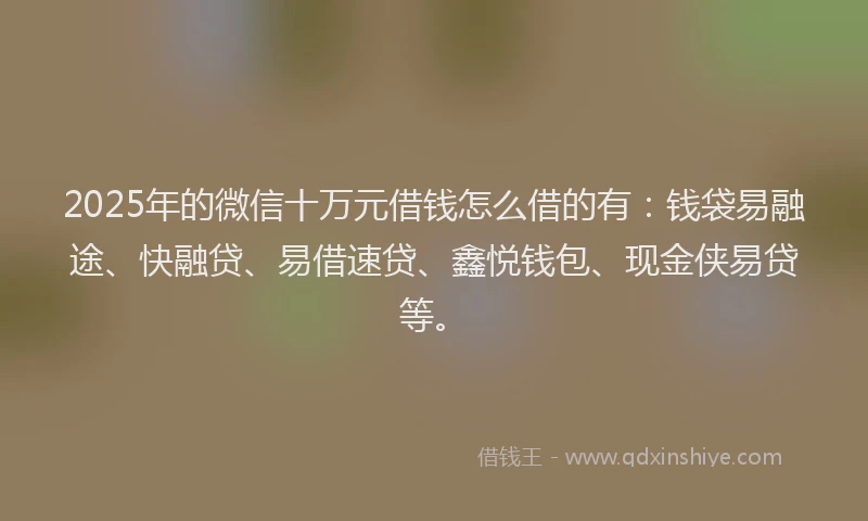 2025年的微信十万元借钱怎么借的有：钱袋易融途、快融贷、易借速贷、鑫悦钱包、现金侠易贷等。
