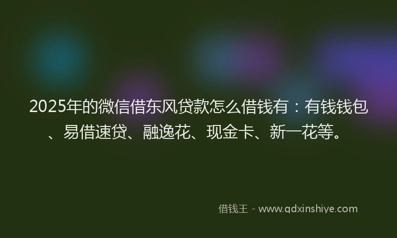 2025年的微信借东风贷款怎么借钱有：有钱钱包、易借速贷、融逸花、现金卡、新一花等。