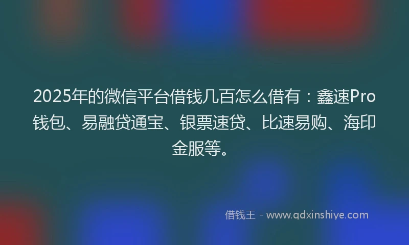 2025年的微信平台借钱几百怎么借有：鑫速Pro钱包、易融贷通宝、银票速贷、比速易购、海印金服等。