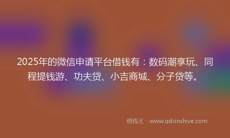 2025年的微信申请平台借钱有：数码潮享玩、同程提钱游、功夫贷、小吉商城、分子贷等。